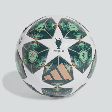 Champions League Final 2024/25 Munich League - ['Green', 'White'] - JH1296