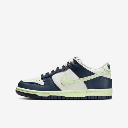 Nike Dunk Low Older Kids' Shoes - FB9109-127
