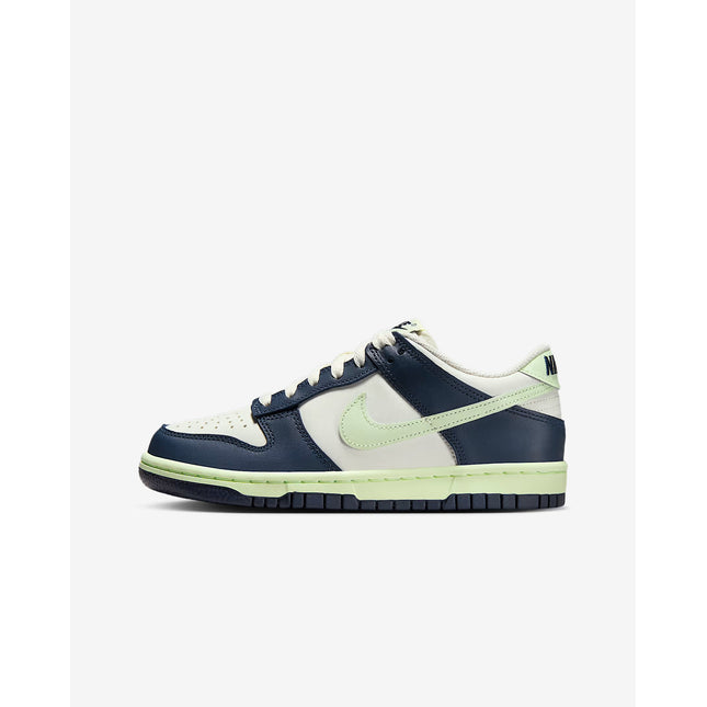 Nike Dunk Low Older Kids' Shoes - FB9109-127