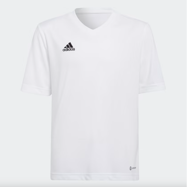 ENT22 JSY Y - HC5054