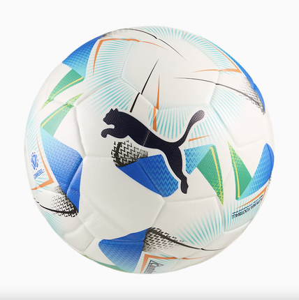 CONMEBOL Libertadores FIFA® 084608 01
