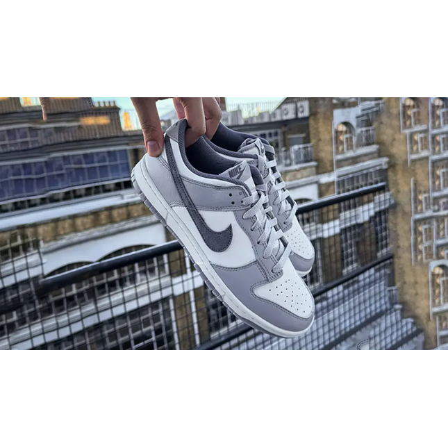 NIKE DUNK LOW RETRO SE - FJ4188 100